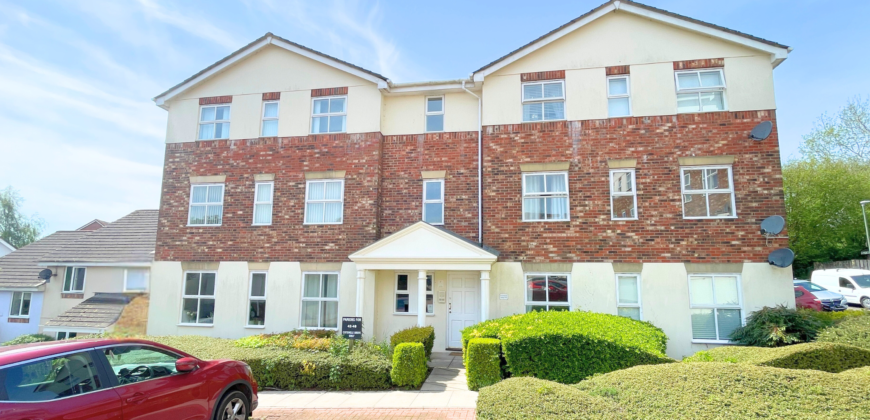 Cotehele Drive, Paignton, TQ3 3GN